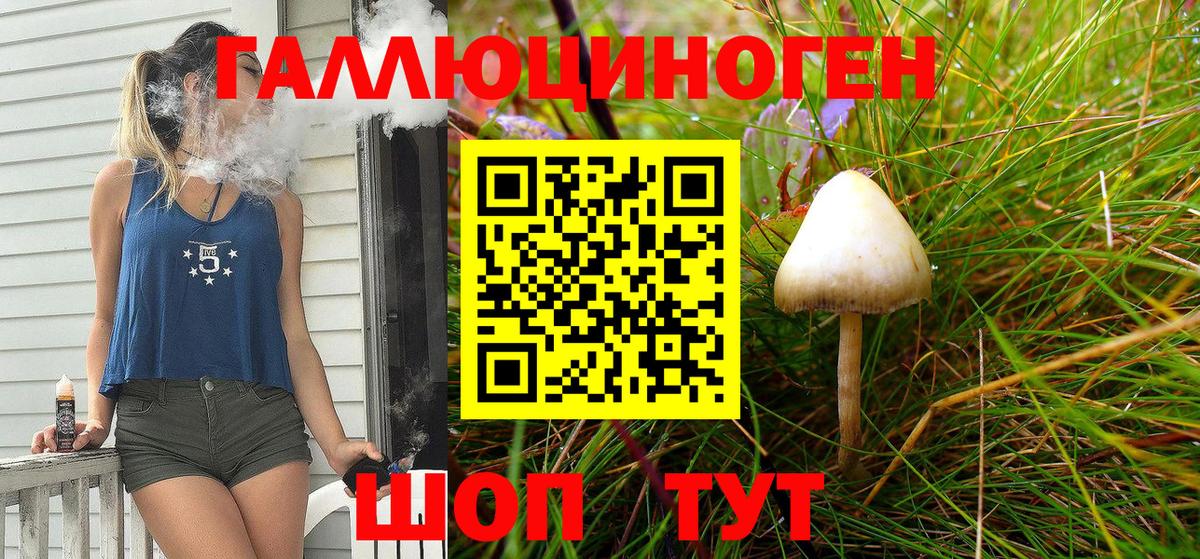 наркота  Вход с VPN  Севастополь  Псилоцибиновые грибы GOLDEN TEACHER 